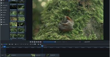 ACDSee Luxea Video Editor v6.1.0.1859 (x64)