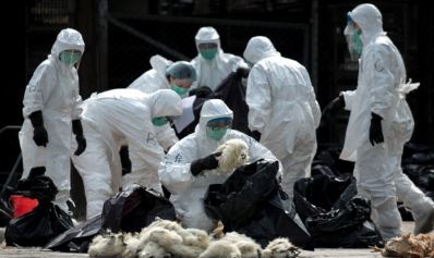 China Is Hogging A Lethal Virus