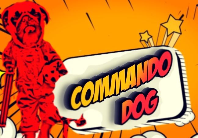 Commando Dog