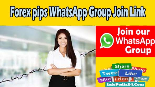 Forex pips WhatsApp Group Join Link