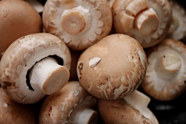 How to prepare breaded mushrooms