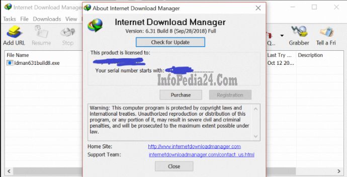 Internet Download Manager 6.31 Build 8 (Fixed)