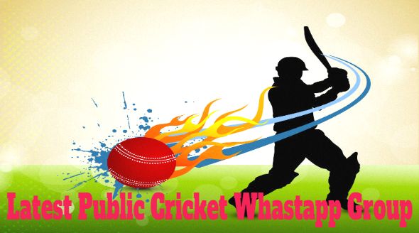 Latest Public Cricket Whastapp Group Links