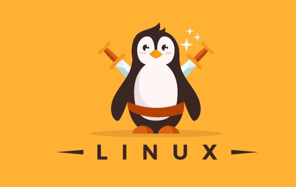 Linux Mastery Master the Linux Command Line in 11.5 Hours Course Catalog