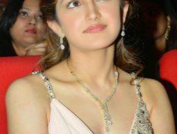 Sayesha Saigal Pictures