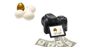 Sell Photo Online: Beginners Guide Stock Photography