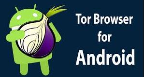 tor browser for android скачать hydra2web