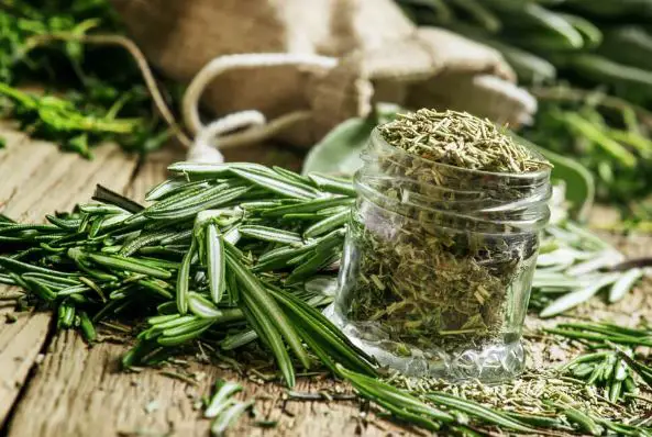 rosemary to take care of your hair